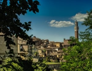 landscape photography of town with clear sky thumbnail