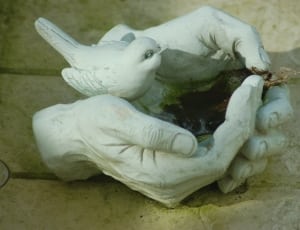 white ceramic hand with bird decor thumbnail
