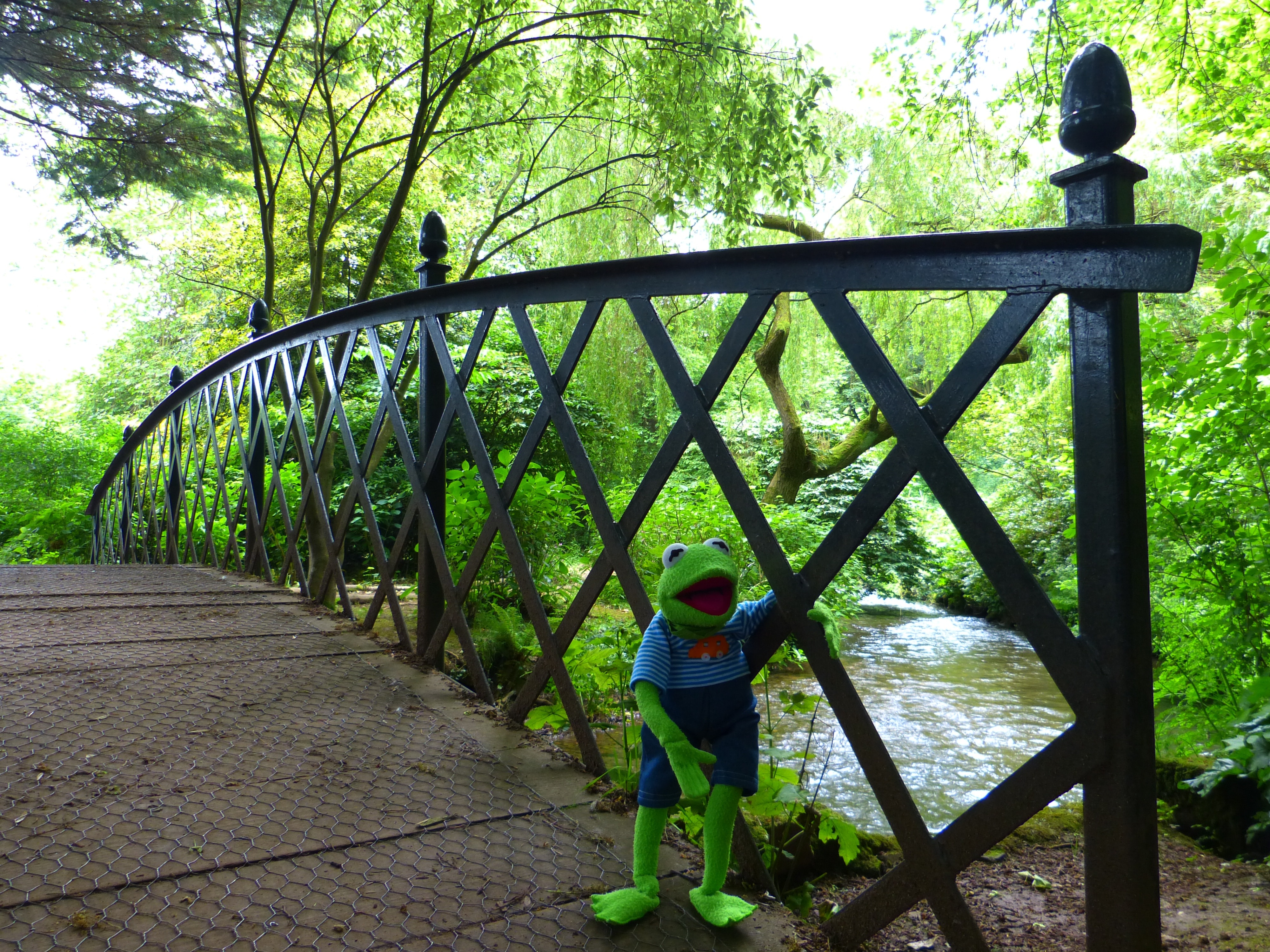 kermit the frog on black and brown steel bridge