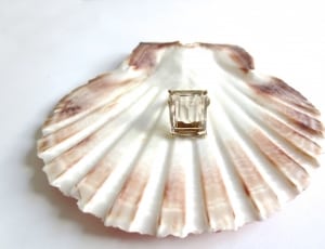 white and pink shell and square accessory thumbnail