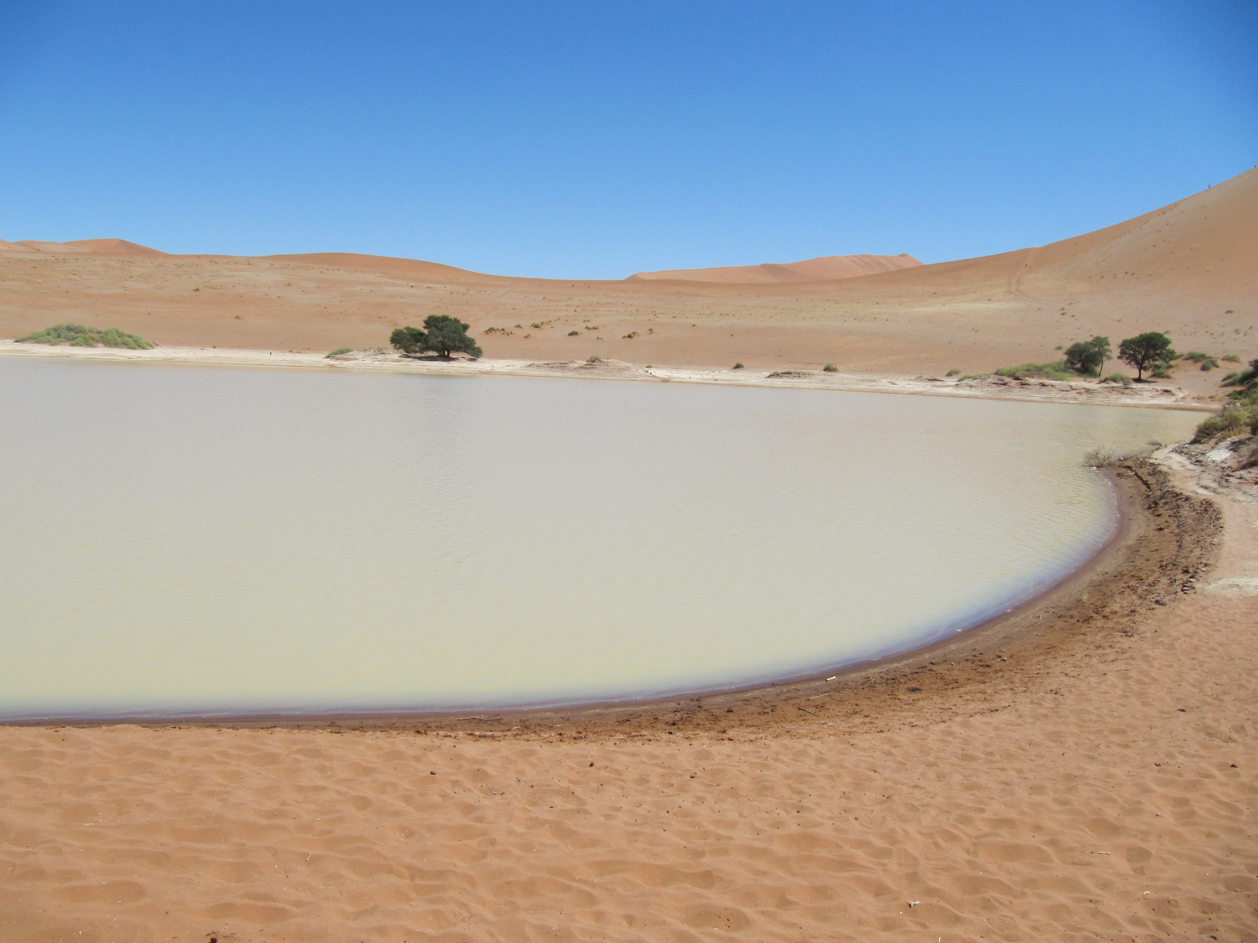 desert lake