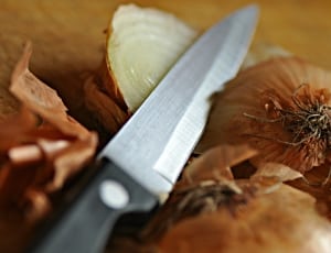 black handled knife and onion thumbnail
