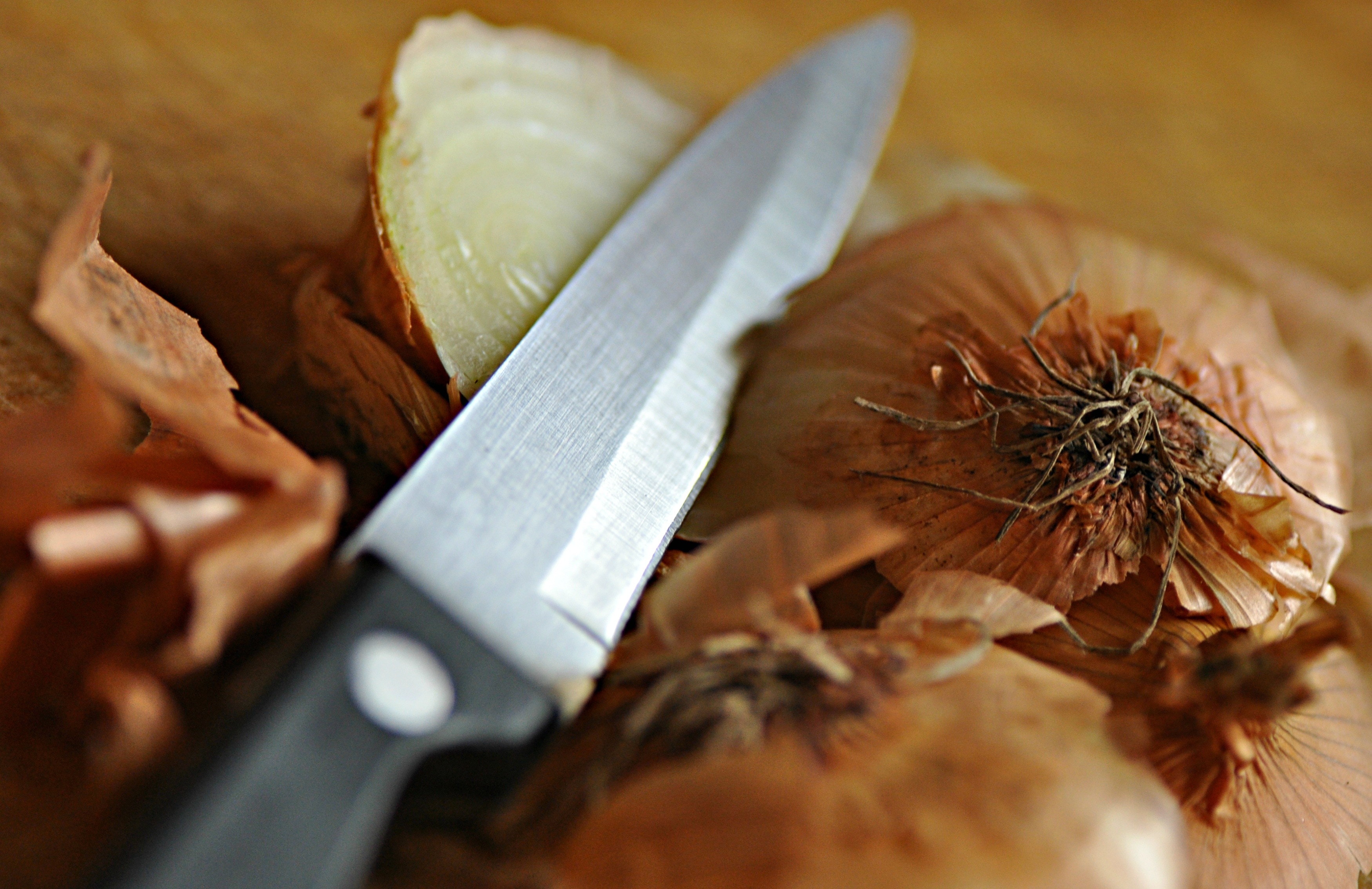 black handled knife and onion