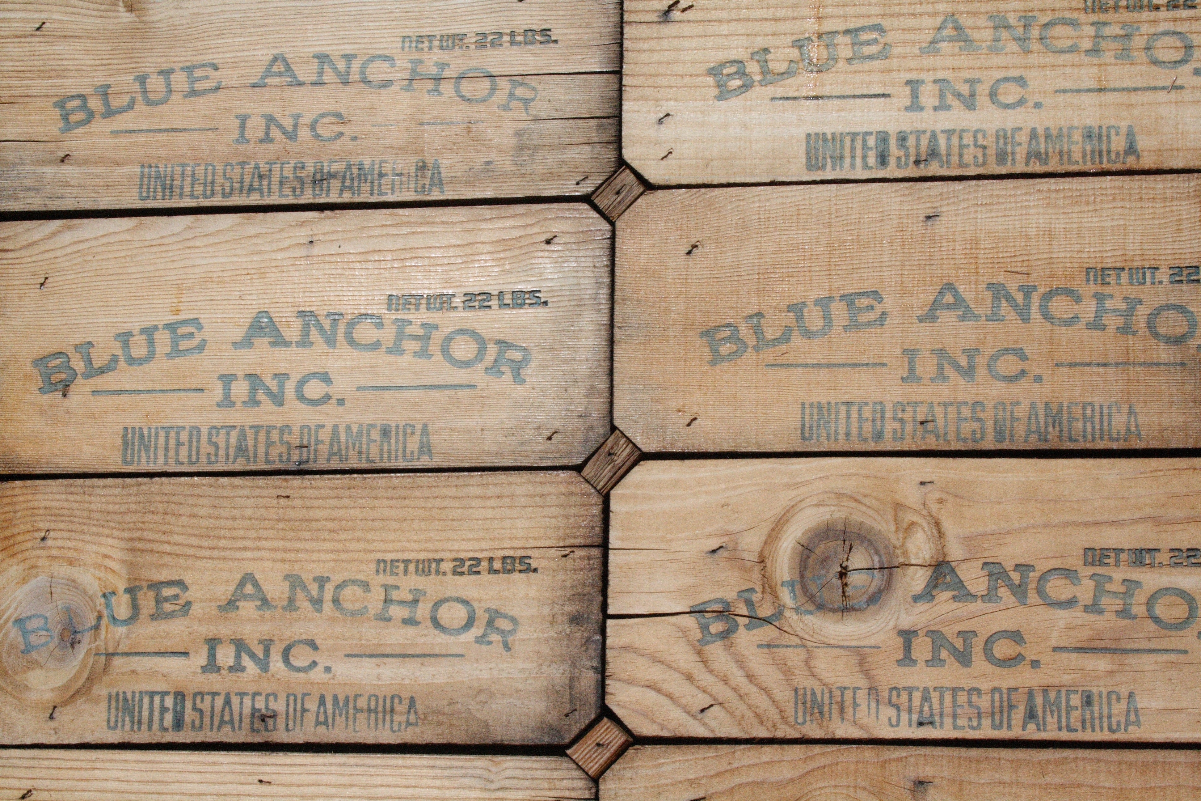 brown blue anchor print boards