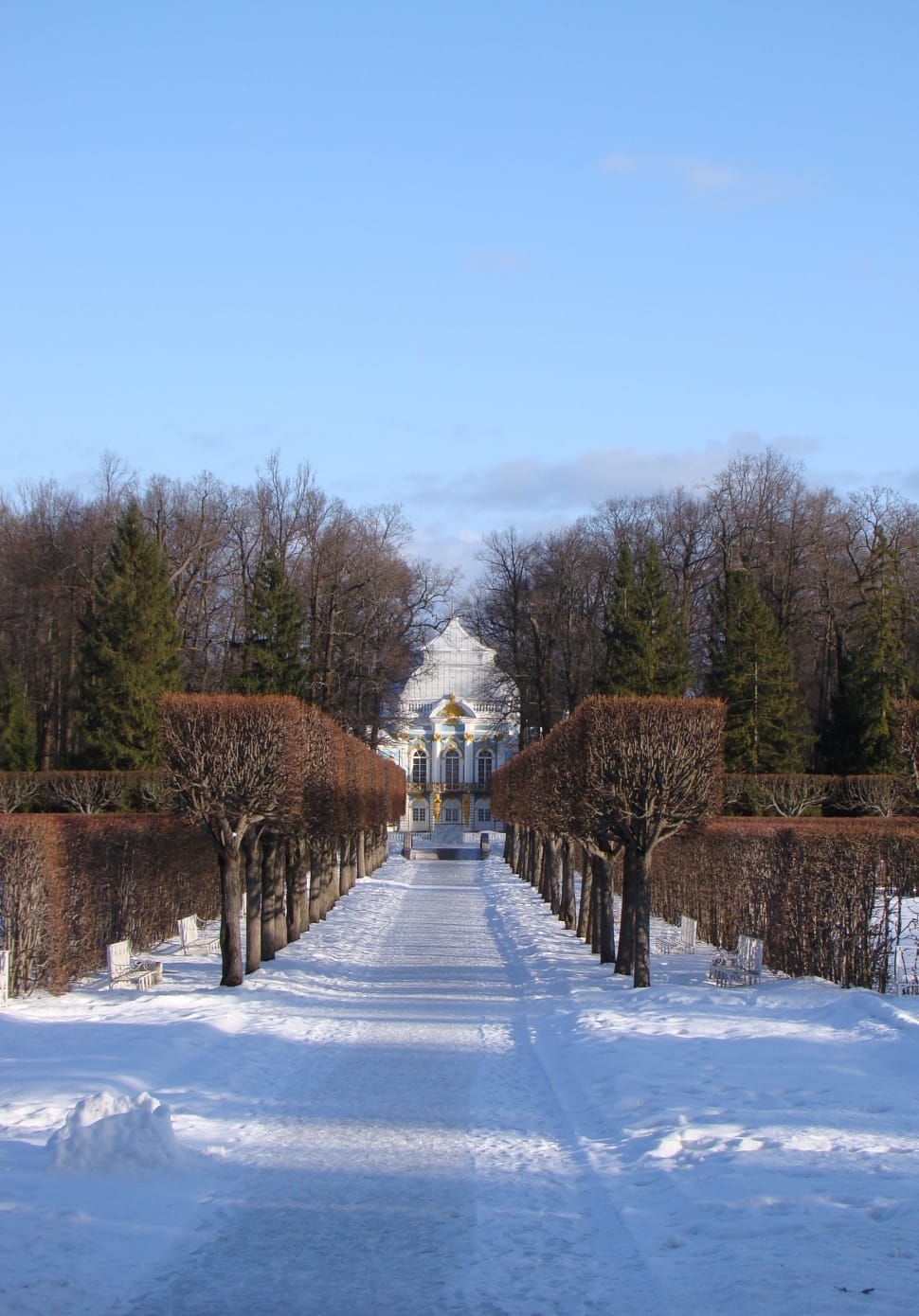 The Palace Ensemble Tsarskoe Selo, winter, snow preview