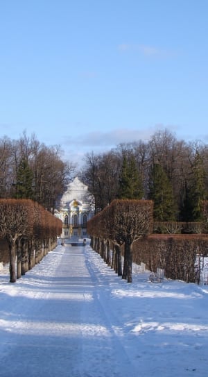 The Palace Ensemble Tsarskoe Selo, winter, snow thumbnail