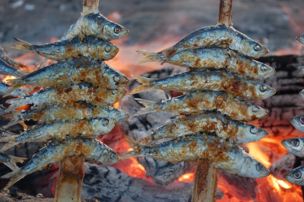 grilled tuna on stick preview