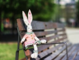 white rabbit plush toy and brown wooden bench thumbnail