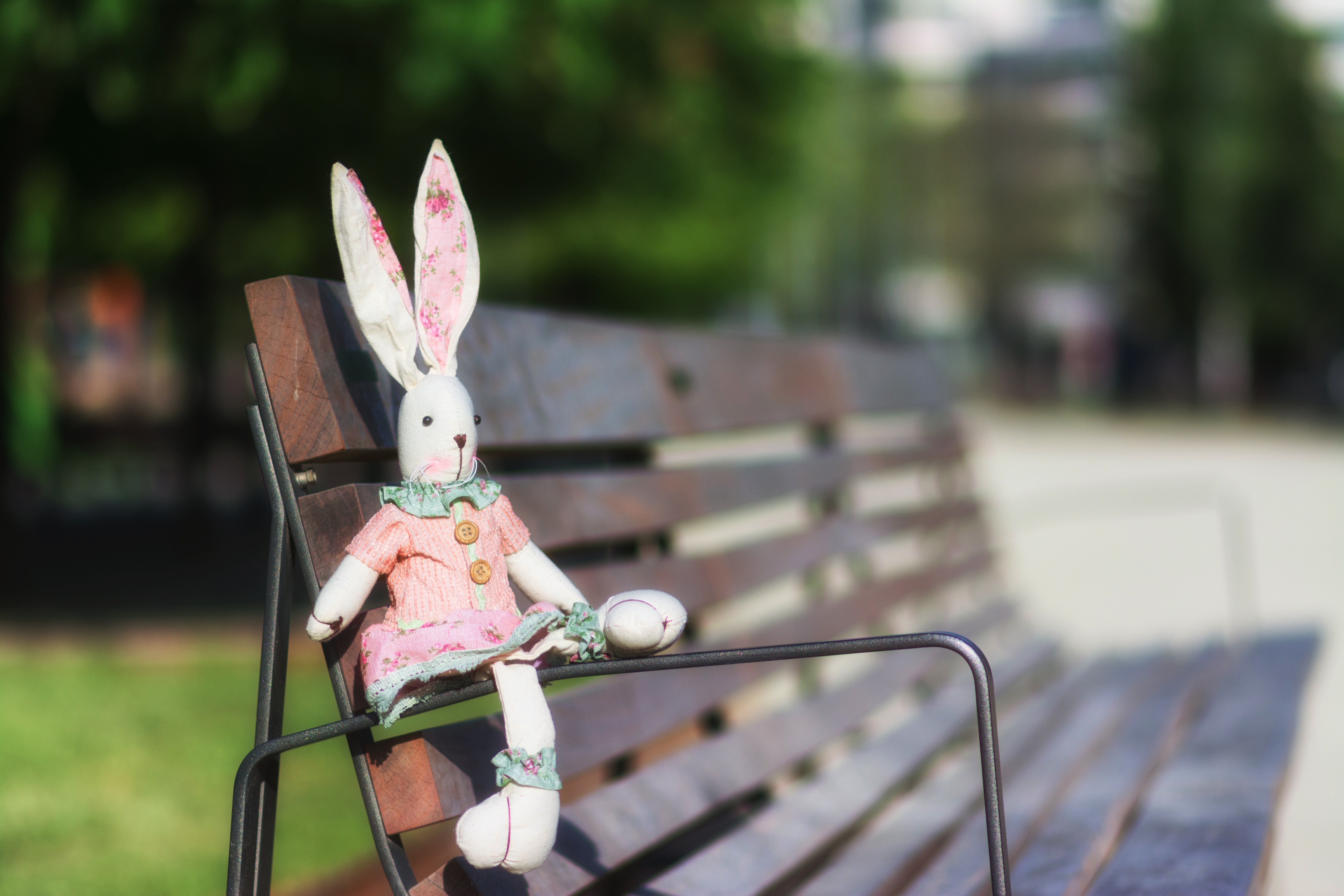 white rabbit plush toy and brown wooden bench