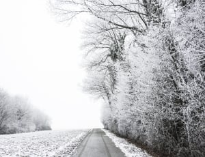gray concrete road filled of snow during winter thumbnail