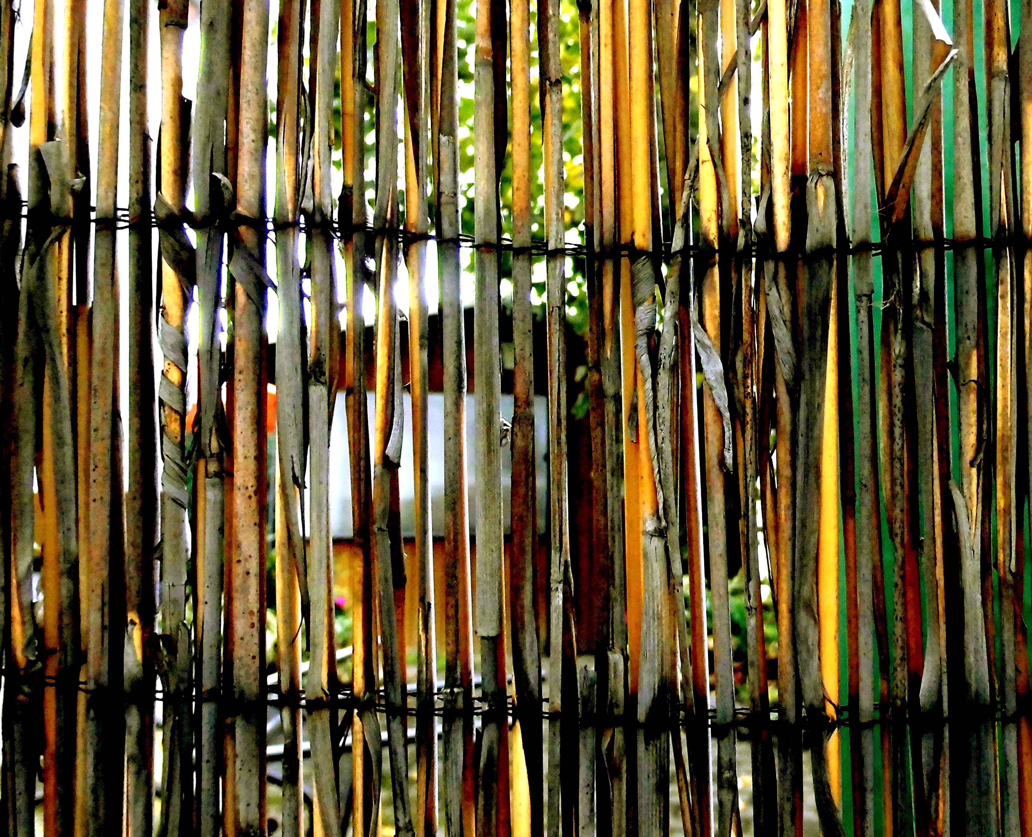 brown bamboo stick