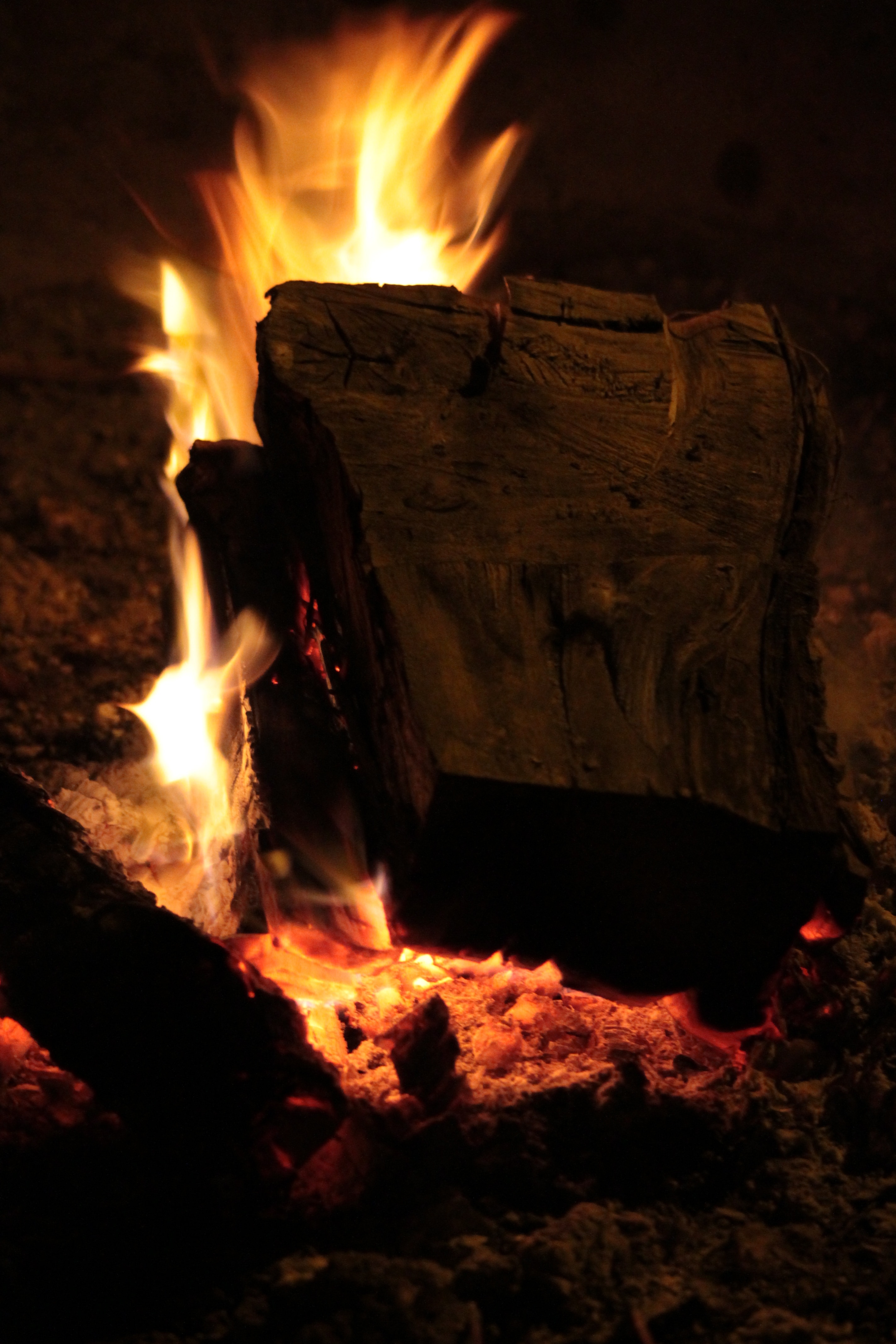 burning brown wood fire