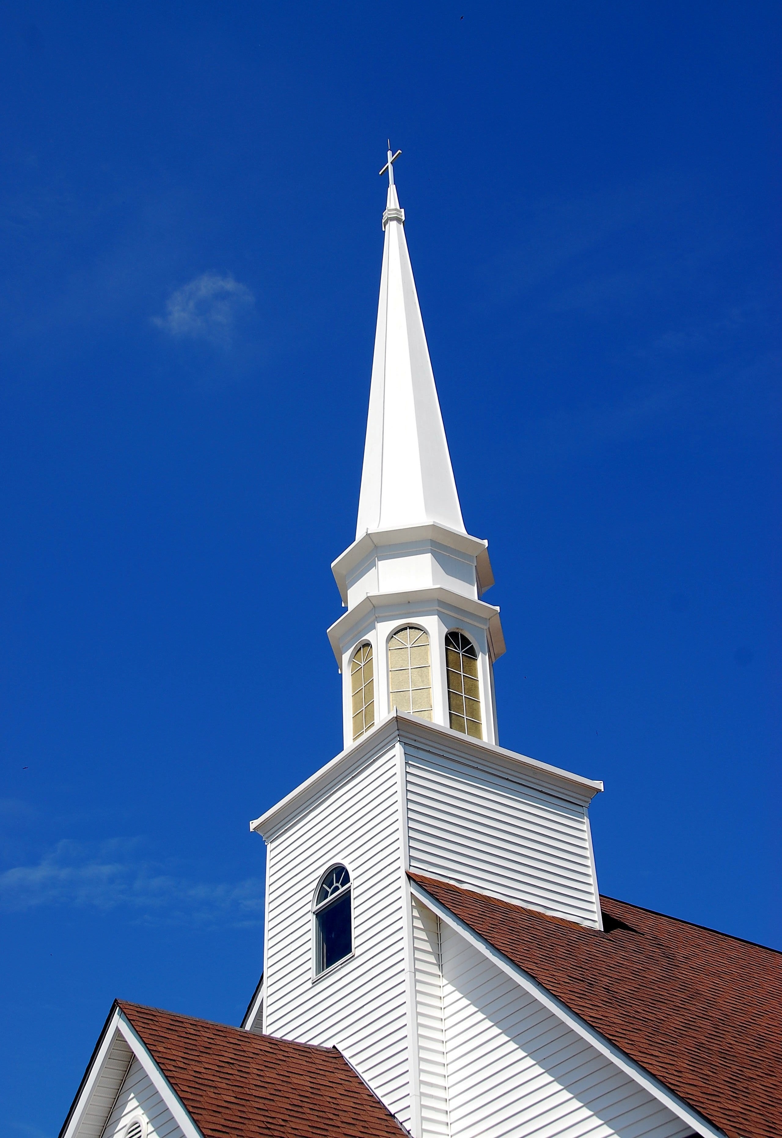 white and brown steeple cathedral
