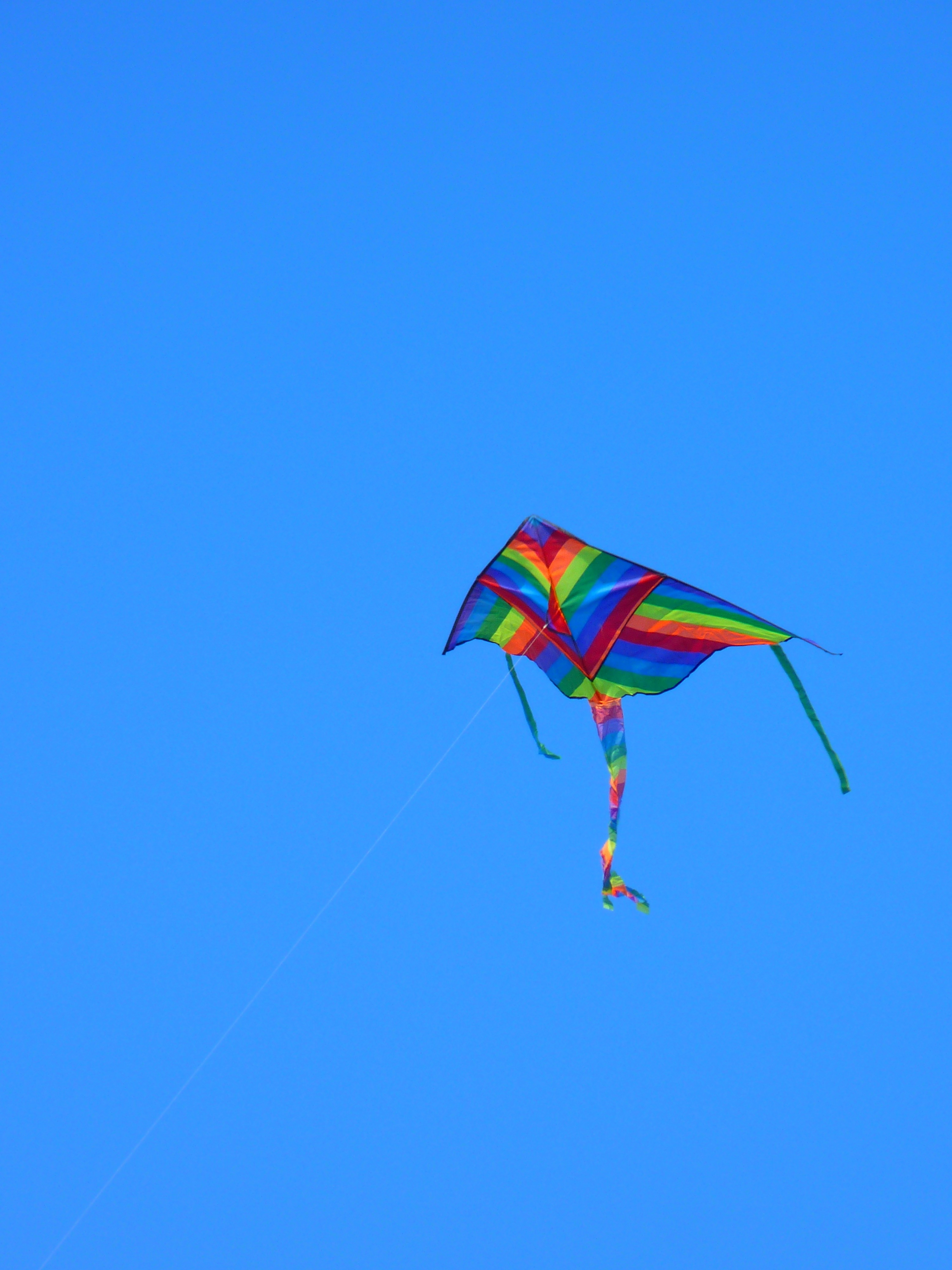 blue red and light green kite
