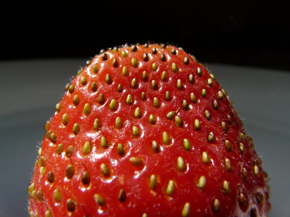 strawberry fruit preview