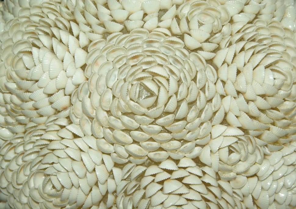 white shelf formed flower preview