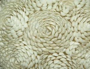white shelf formed flower thumbnail