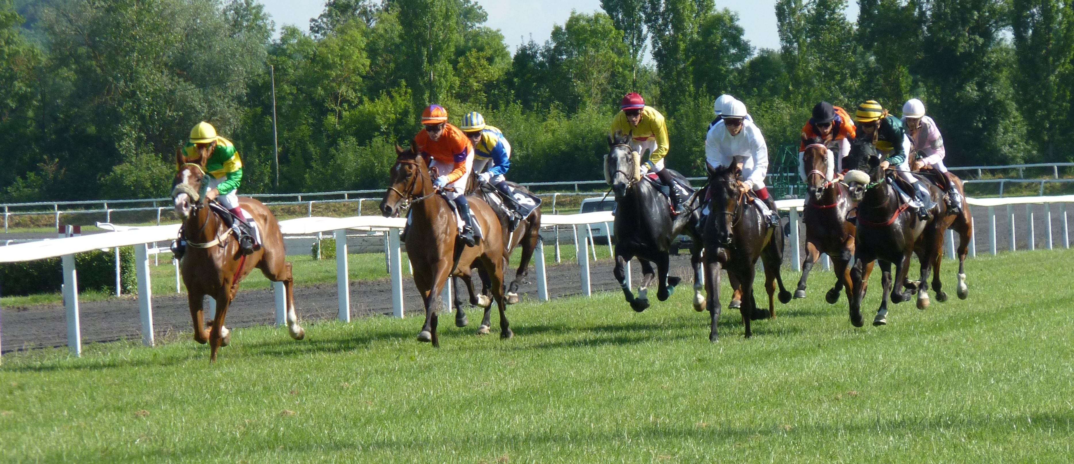 horse race photo