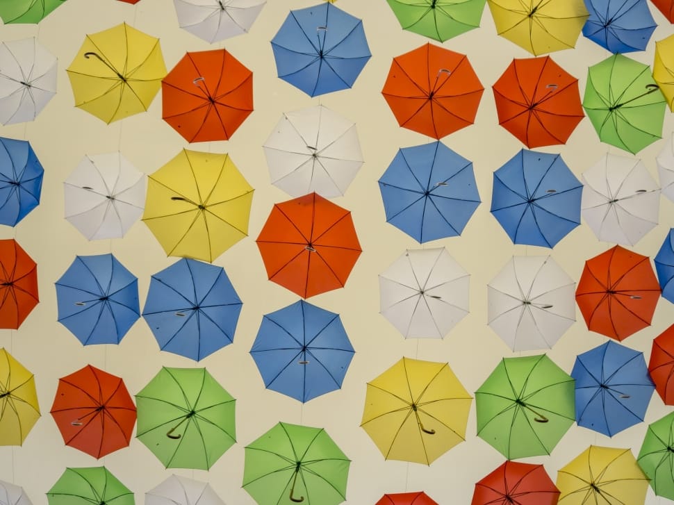 multicolored umbrella lot preview