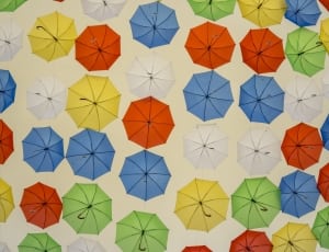 multicolored umbrella lot thumbnail