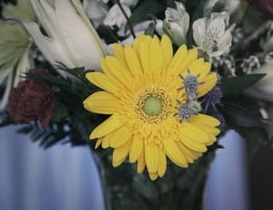 yellow and white bouquet of flower thumbnail