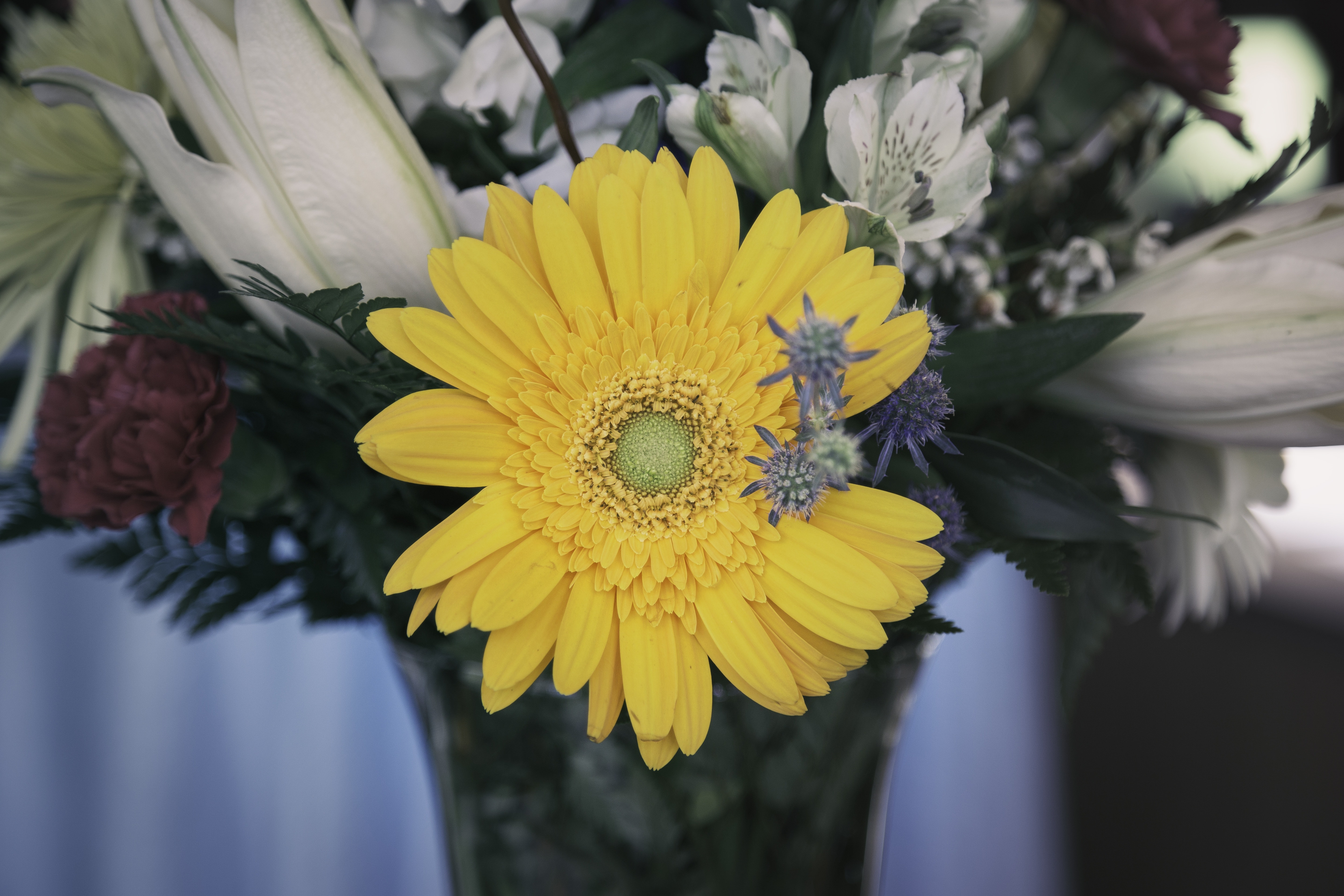 yellow and white bouquet of flower