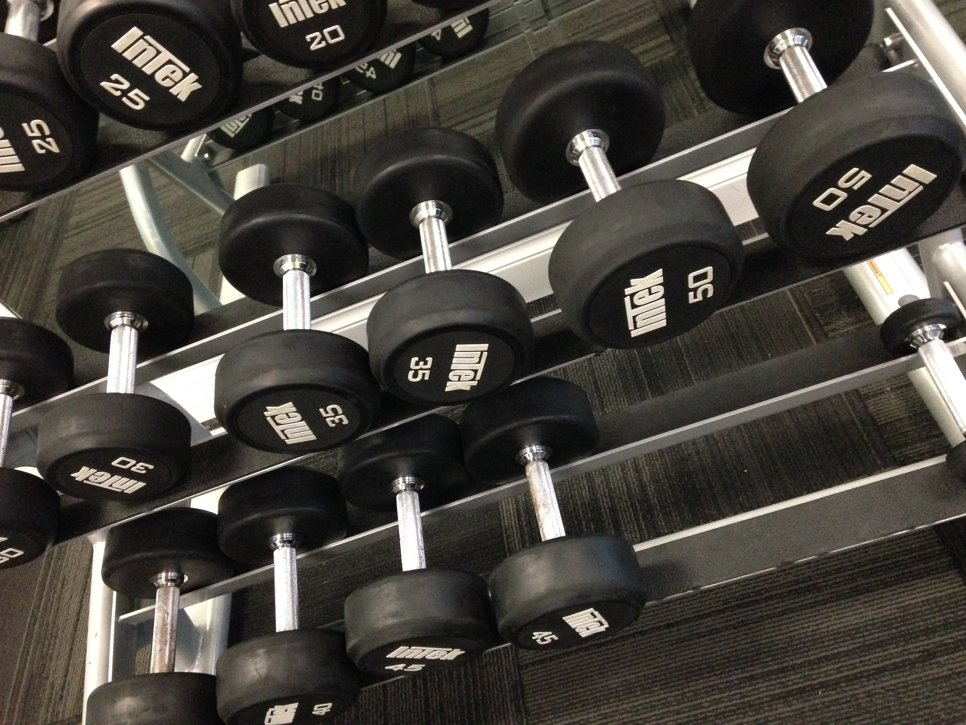 grey and black pro style dumbbell lot