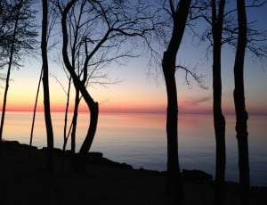 body of water during sunset photo thumbnail