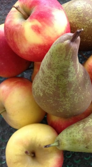 yellow red apple and peer fruit thumbnail