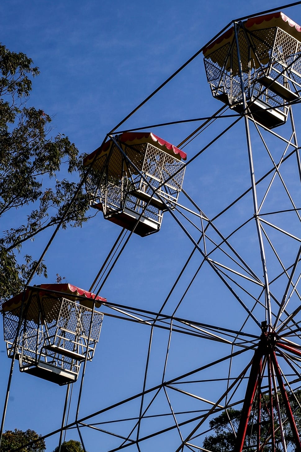 red and gray ferris wheel preview