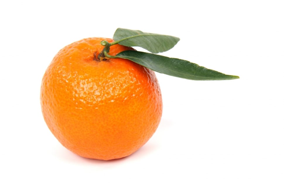mandarin fruit preview