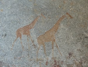 2 brown giraffe  illustration thumbnail