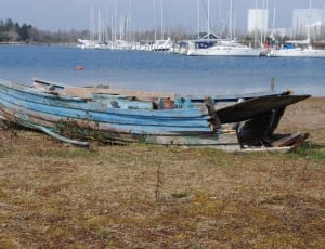 blue wooden water boat near body of water thumbnail