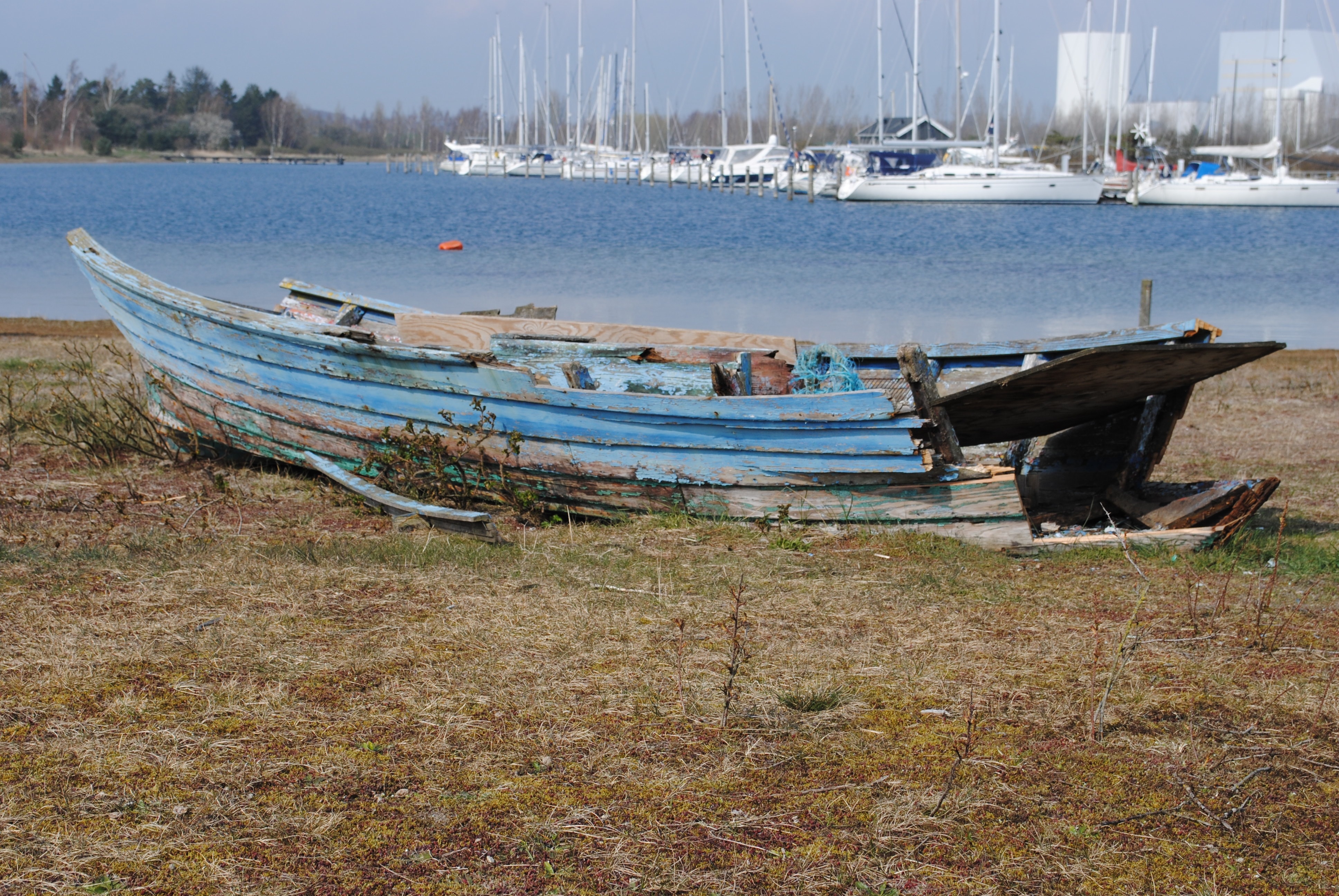 blue wooden water boat near body of water