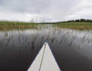 white and blue boat on body of water in front of green grasses thumbnail