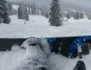 black and blue snowboard thumbnail