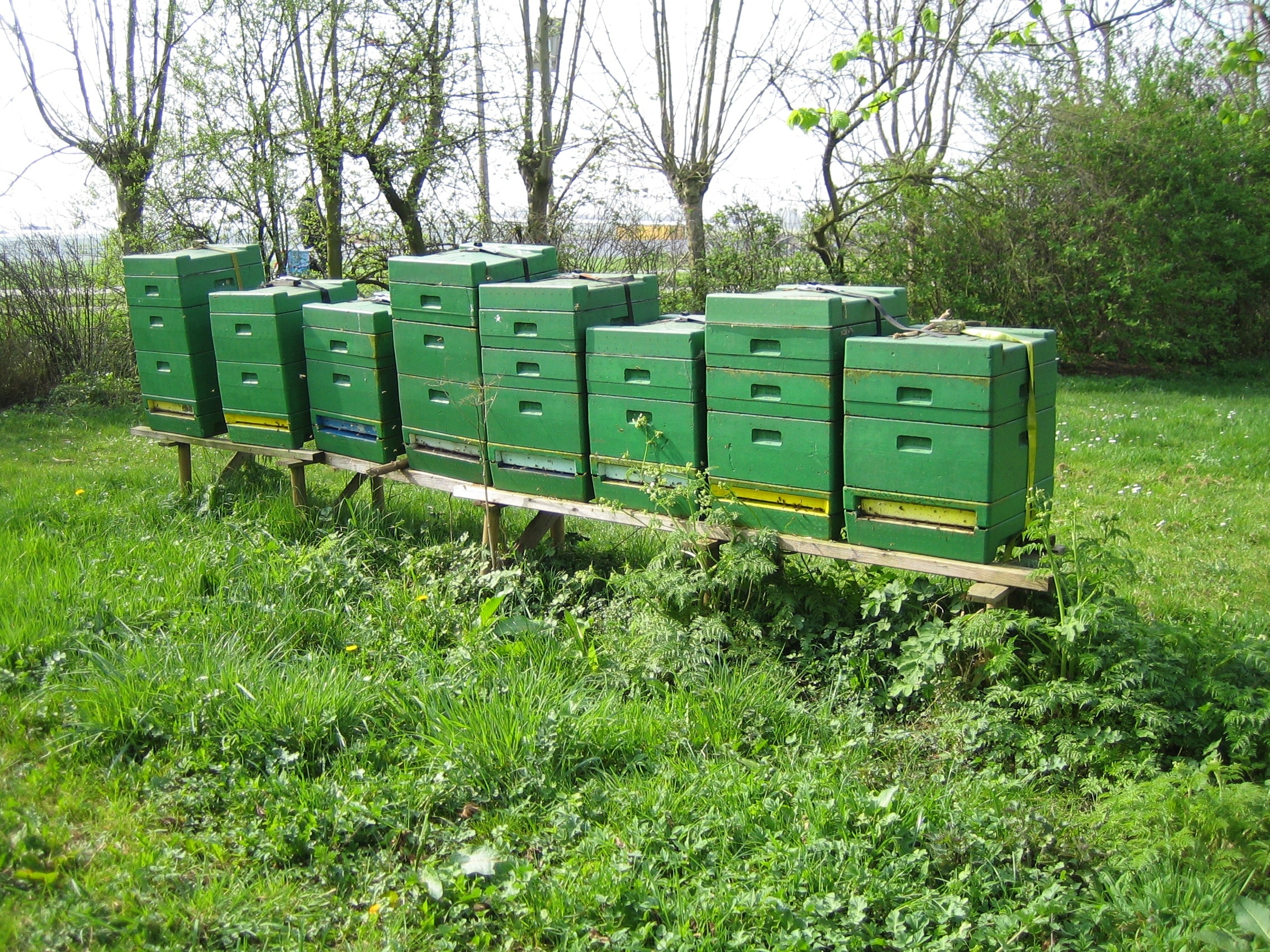 green box lot in forest during daytime