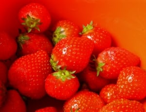 strawberry lot thumbnail