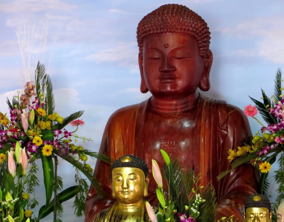 brown gautama buddha preview