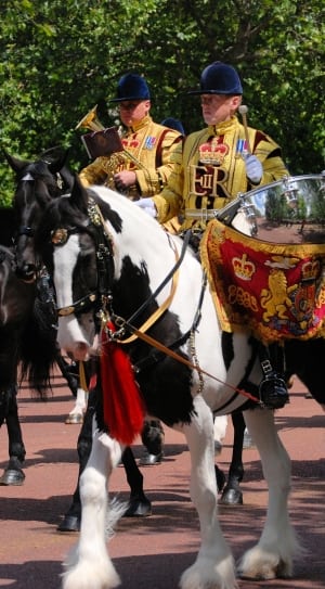 2 royal guards riding on horse thumbnail