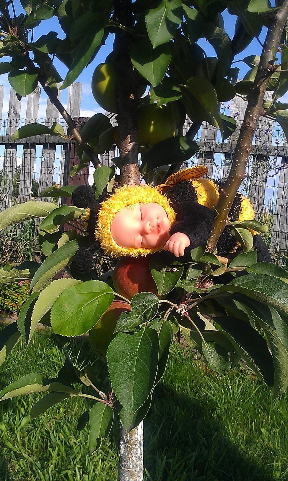 baby doll on tree free image | Peakpx