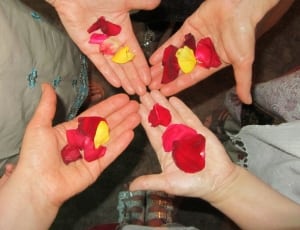four person holding red and yellow rose petals thumbnail