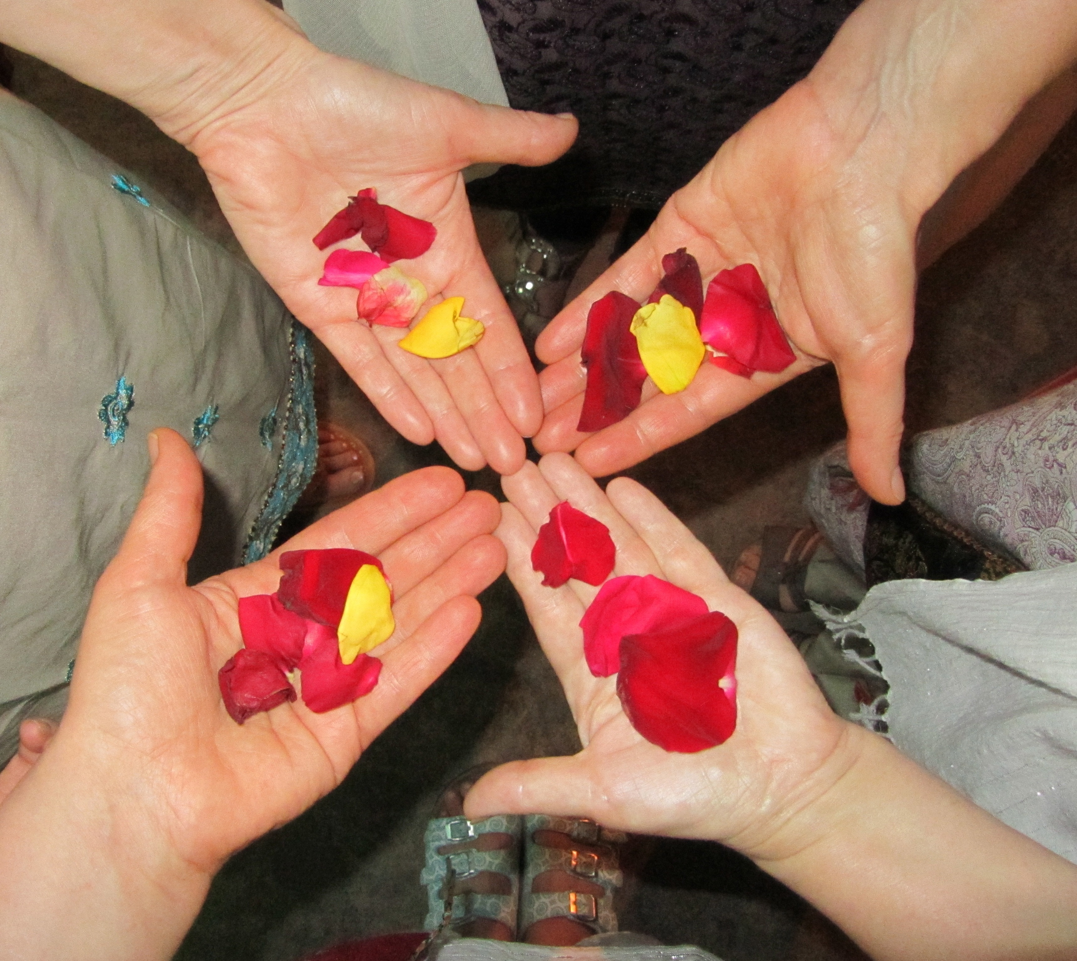 four person holding red and yellow rose petals