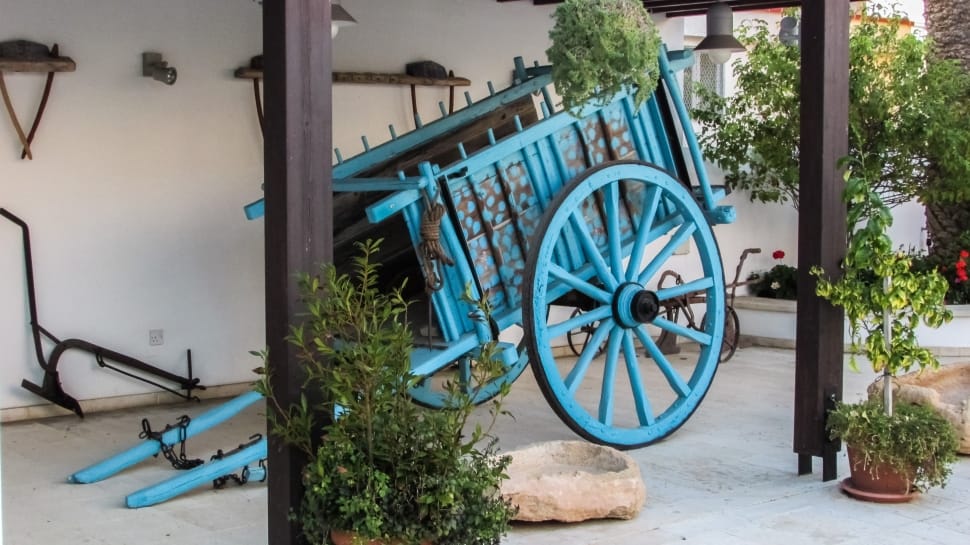 blue wooden horse carriage near green leafy plants and brown wooden post preview