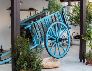 blue wooden horse carriage near green leafy plants and brown wooden post thumbnail