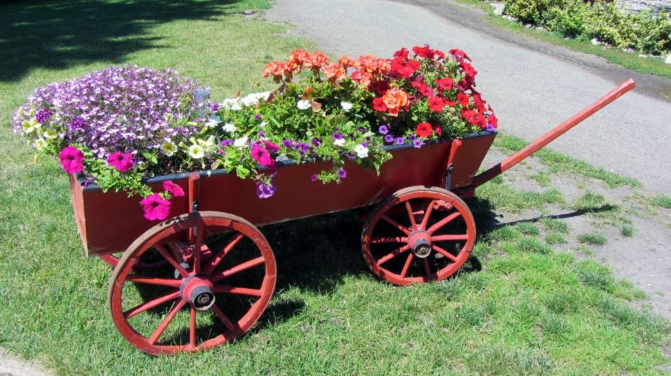 red steel push wagon with assorted flowers preview