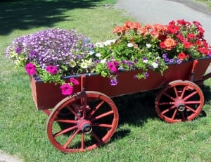 red steel push wagon with assorted flowers thumbnail