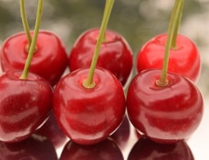 6 cherry fruits thumbnail