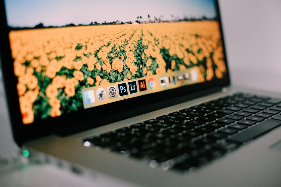 macbook pro with flower field wallpepr preview