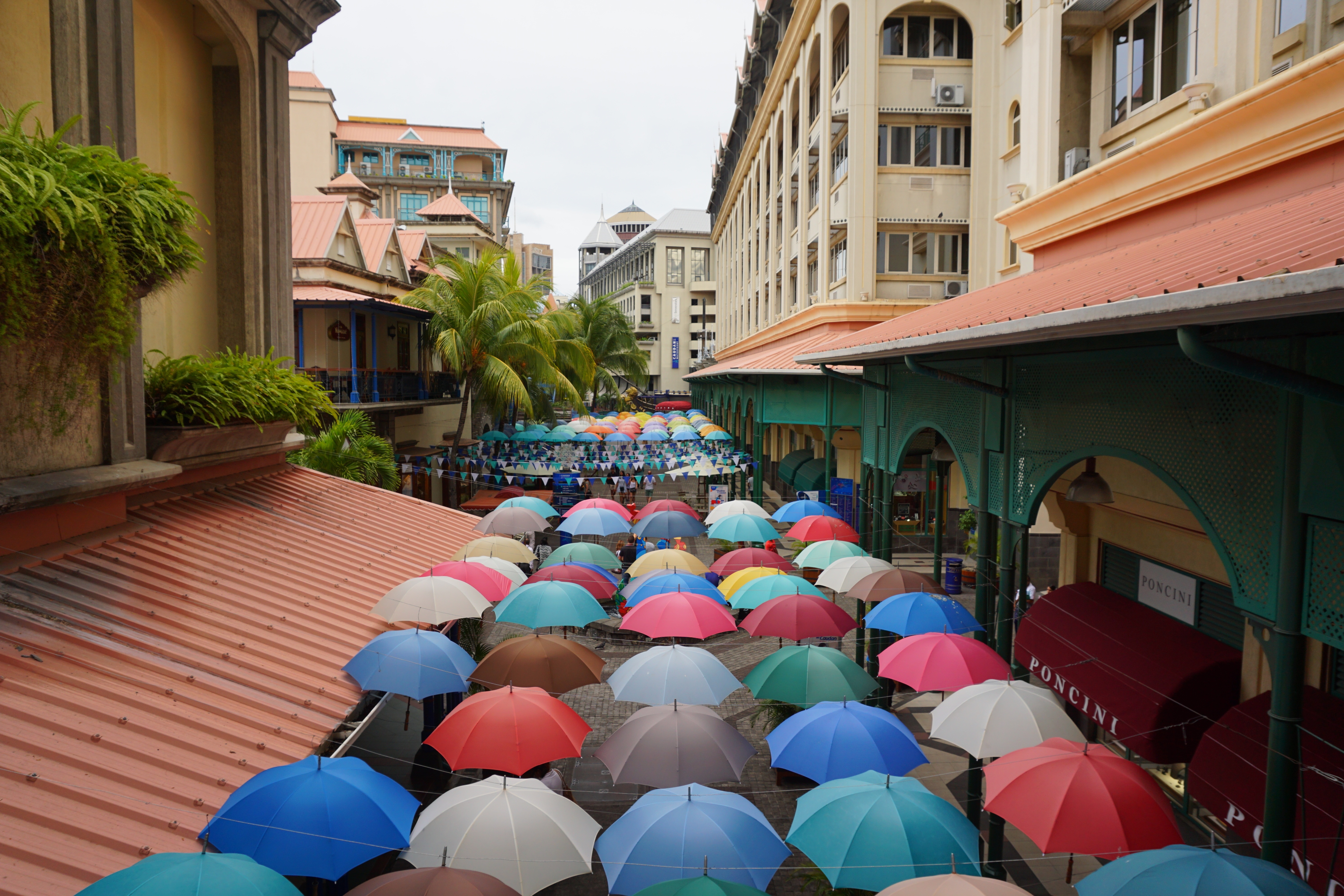 umbrella lot